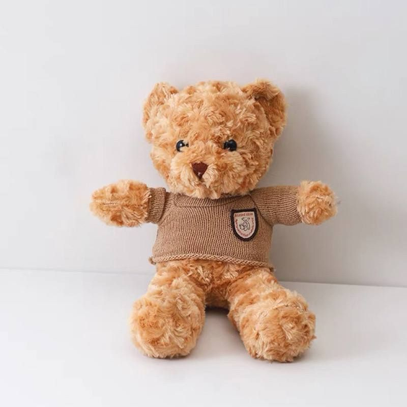 Купить мишку Тедди (Teddy) в Минске - finanskredits.ru