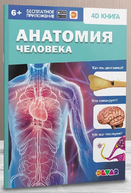 4D книга Анатомия человека #1