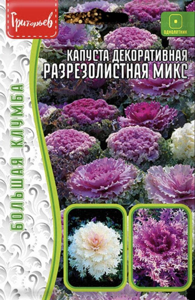 Капуста декоративная Разрезолистная Микс, 1 пакет, семена 30 шт, ЧК  #1