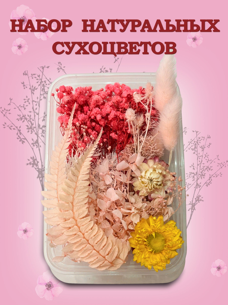 Sweet Crystal Сухоцветы Гипсофила, Гортензия, 4 см, 40 гр, 1 шт #1