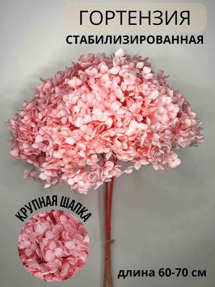 Стабилизированные цветы EVA florist Гортензия, 60 см, 100 гр, 1 шт ...