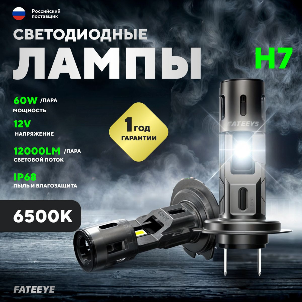 Лампа автомобильная FATEEYE 12 В, 2 шт. купить по низкой цене с доставкой в  интернет-магазине OZON (1115396196)