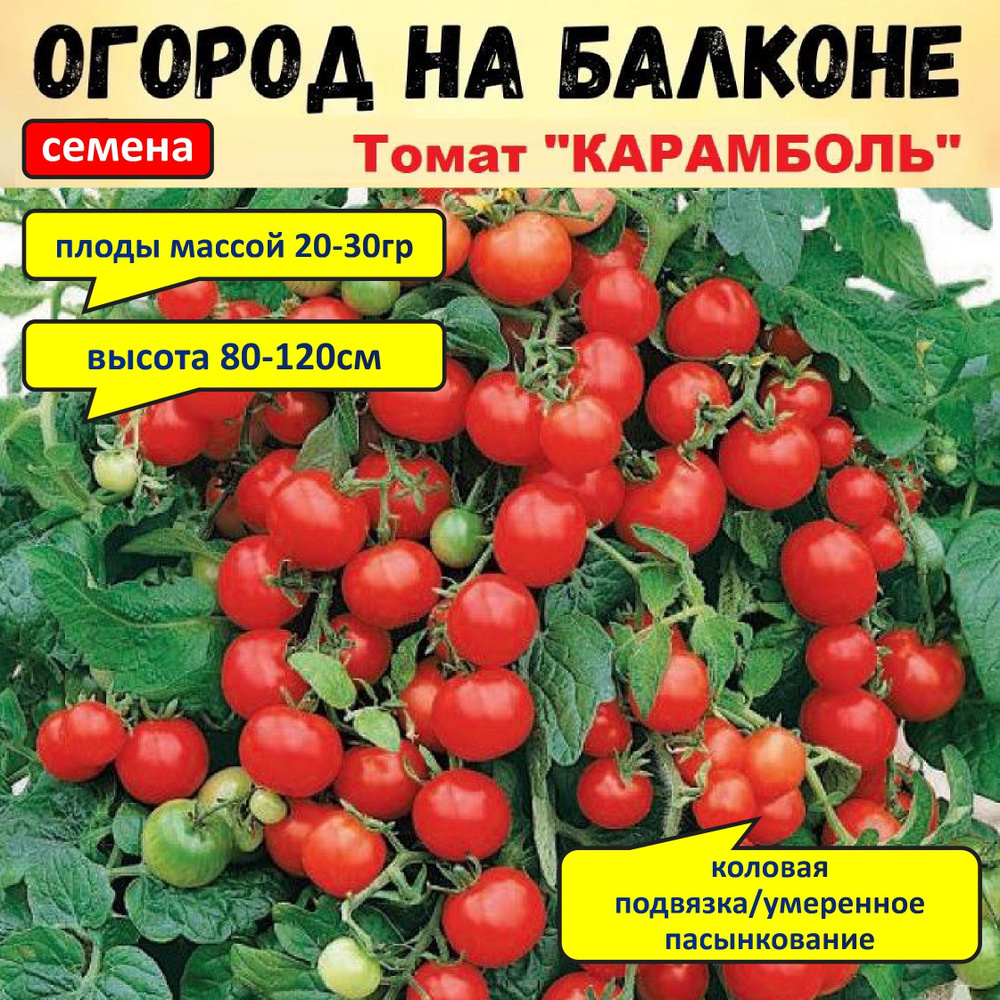 Томаты Дом семян фвыпыкоуллл22 - купить по выгодным ценам в  интернет-магазине OZON (1494892387)