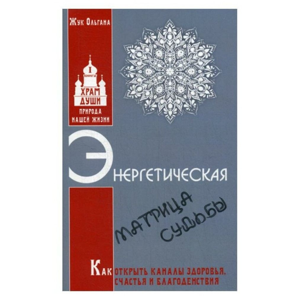 Энергетическая матрица судьбы. Как открыть каналы здоровья, счастья и  благоденствия. Книга 1. Жук О. - купить с доставкой по выгодным ценам в  интернет-магазине OZON (1495474120)