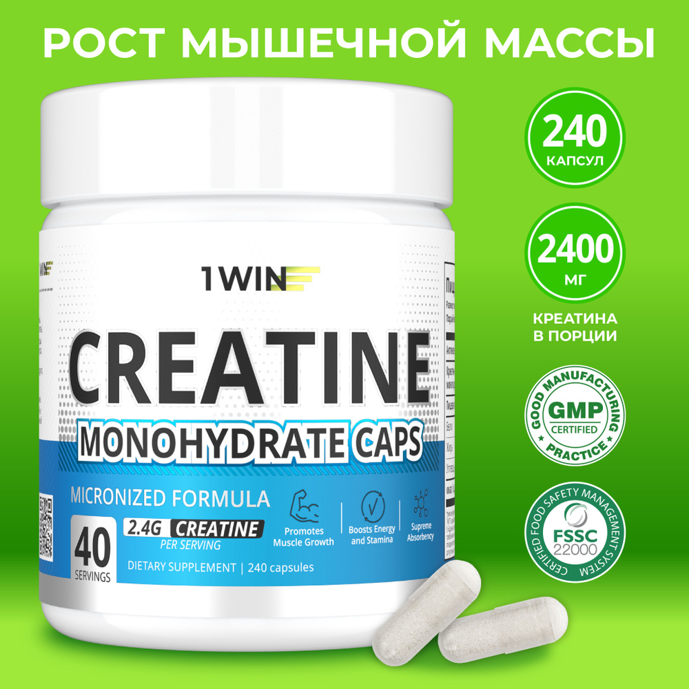 Креатин моногидрат микронизированный в капсулах Creatine Monohydrate, 240  капсул, спортивное питание для набора массы тела - купить с доставкой по  выгодным ценам в интернет-магазине OZON (511984035)