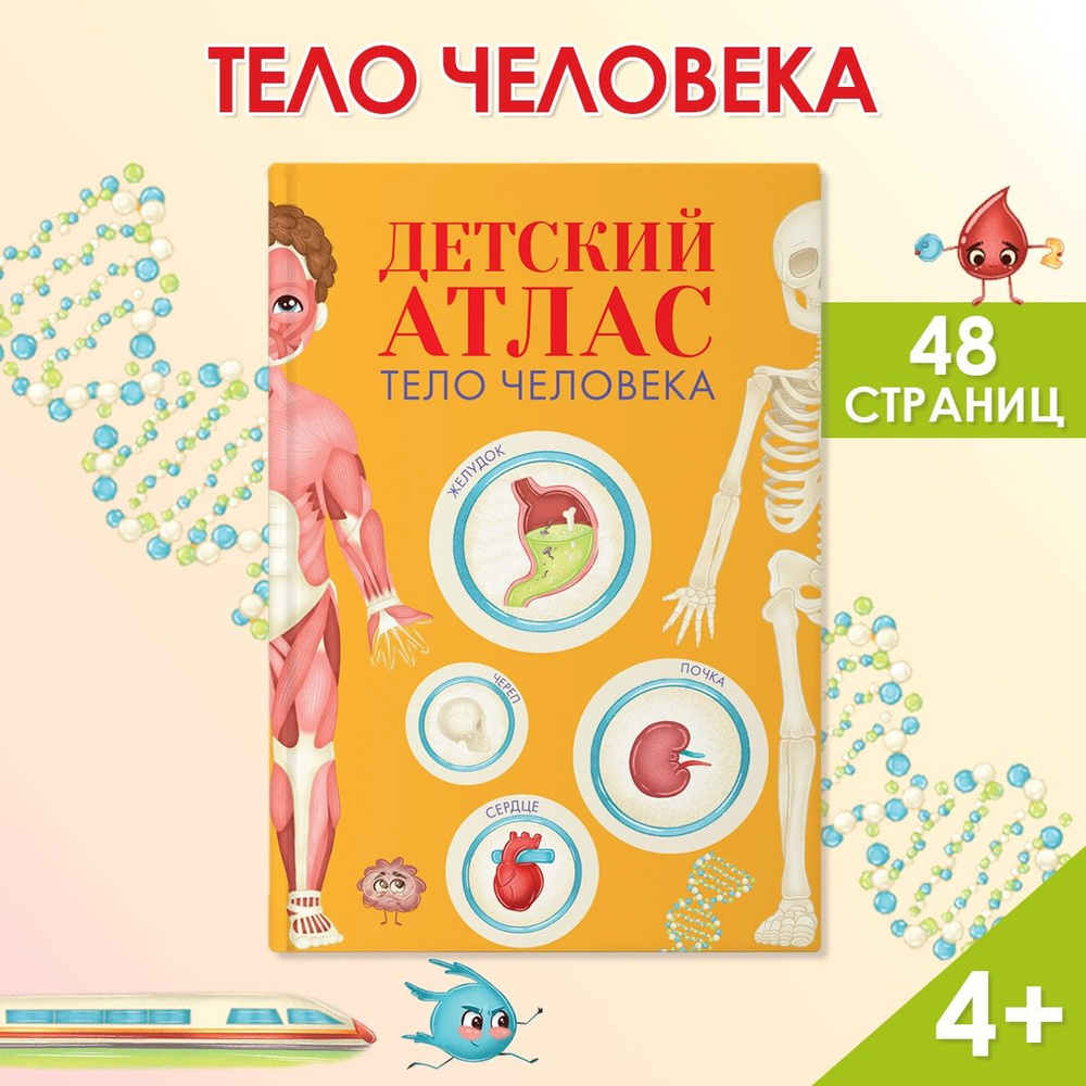 Детский атлас "Тело человека" #1