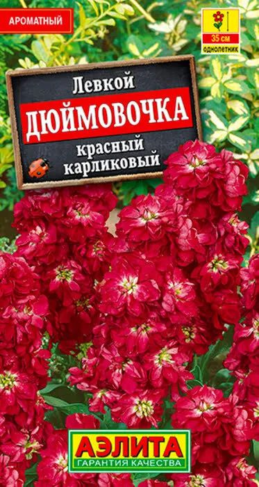 Семена Левкой карликовый Дюймовочка красный (0,1 г) - Агрофирма Аэлита  #1