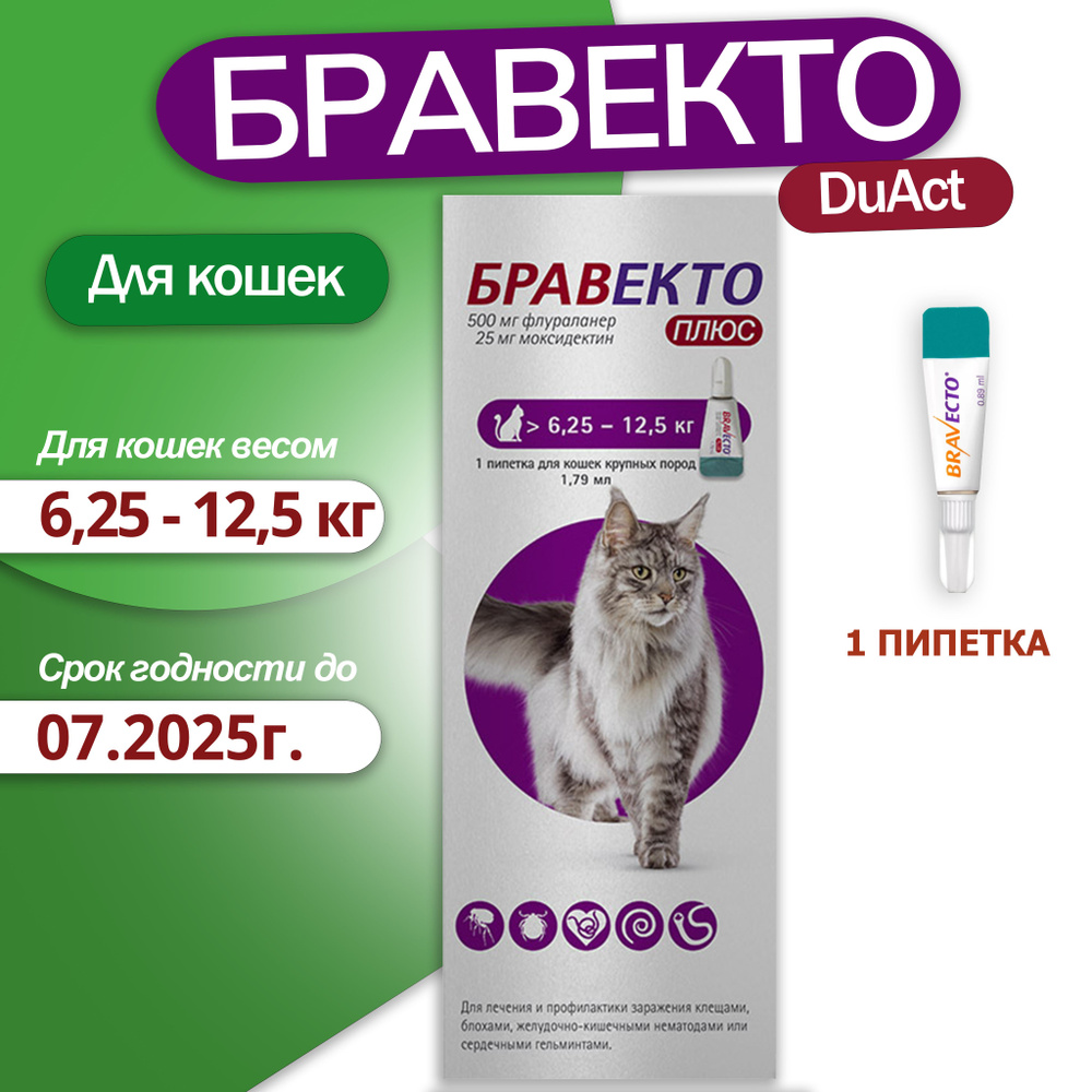 Капли Бравекто плюс , для кошек весом от 6,25 до 12,5 кг против внутренних  и внешних паразитов (1 пипетка) - купить с доставкой по выгодным ценам в  интернет-магазине OZON (1476486042)