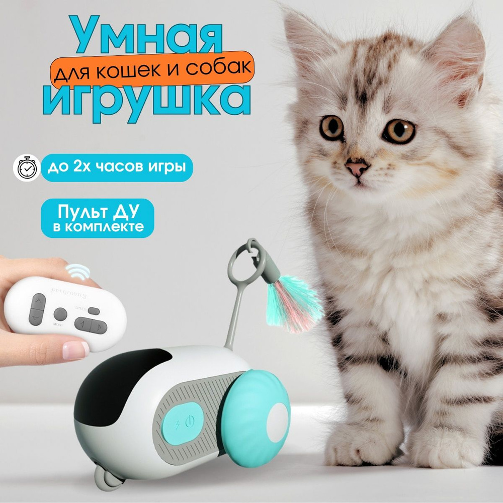 Интерактивная игрушка для кошек, развивающая игрушка-мышка для домашних  животных, дразнилка для кота, OnTheChill - купить с доставкой по выгодным  ценам в интернет-магазине OZON (1592708748)