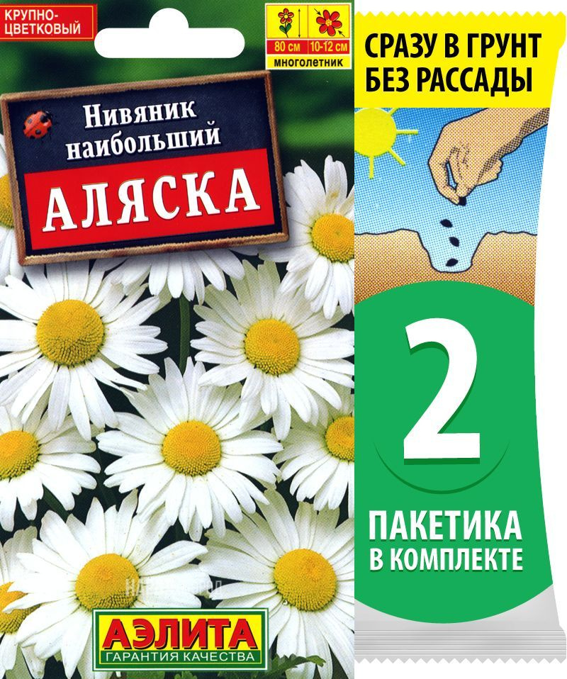 Семена Нивяник наибольший Аляска, 2 пакетика по 0,5г/350шт #1