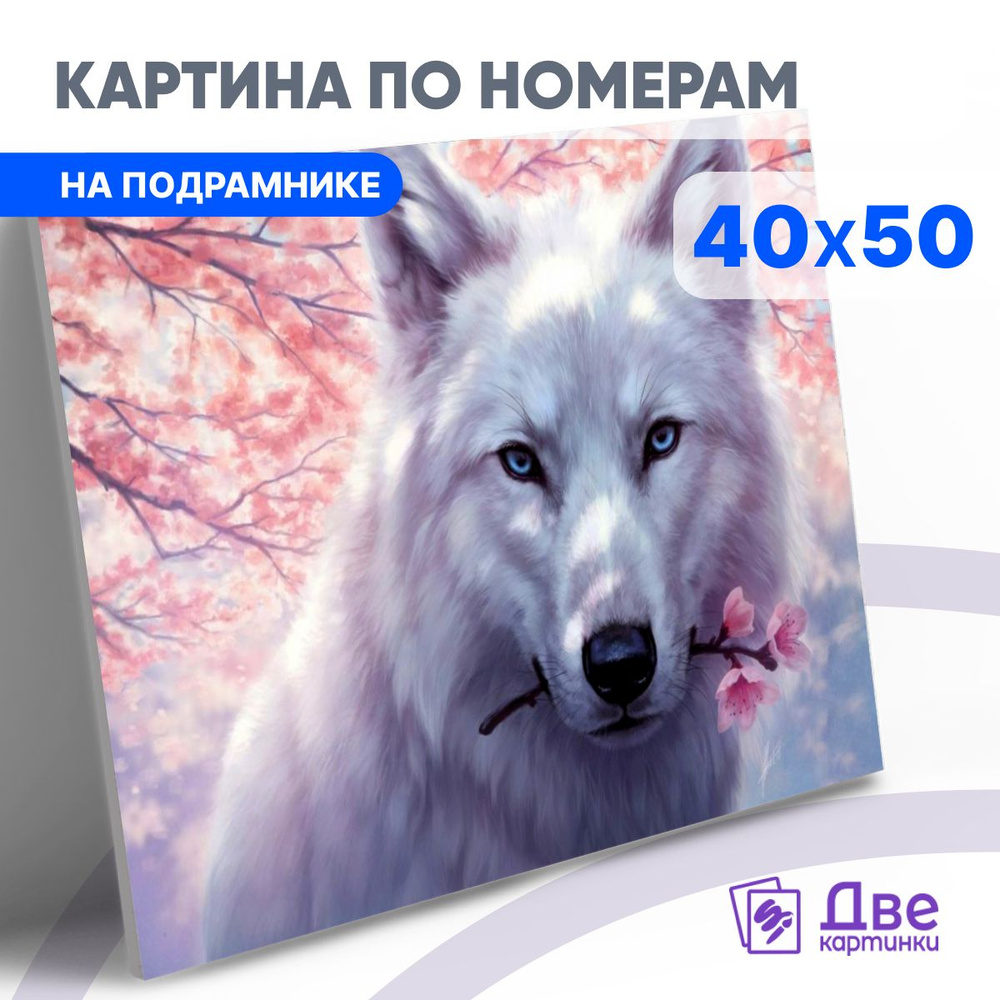 Картина по номерам на холсте 40х50 40 x 50 на подрамнике 