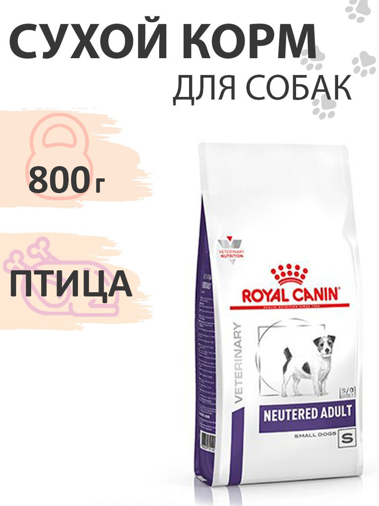 Adult small dog royal canin best sale