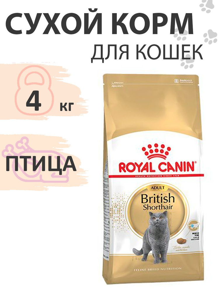 Royal Canin Breed cat British Shorthair / Сухой корм Роял Канин для Взрослых кошек породы Британская #1