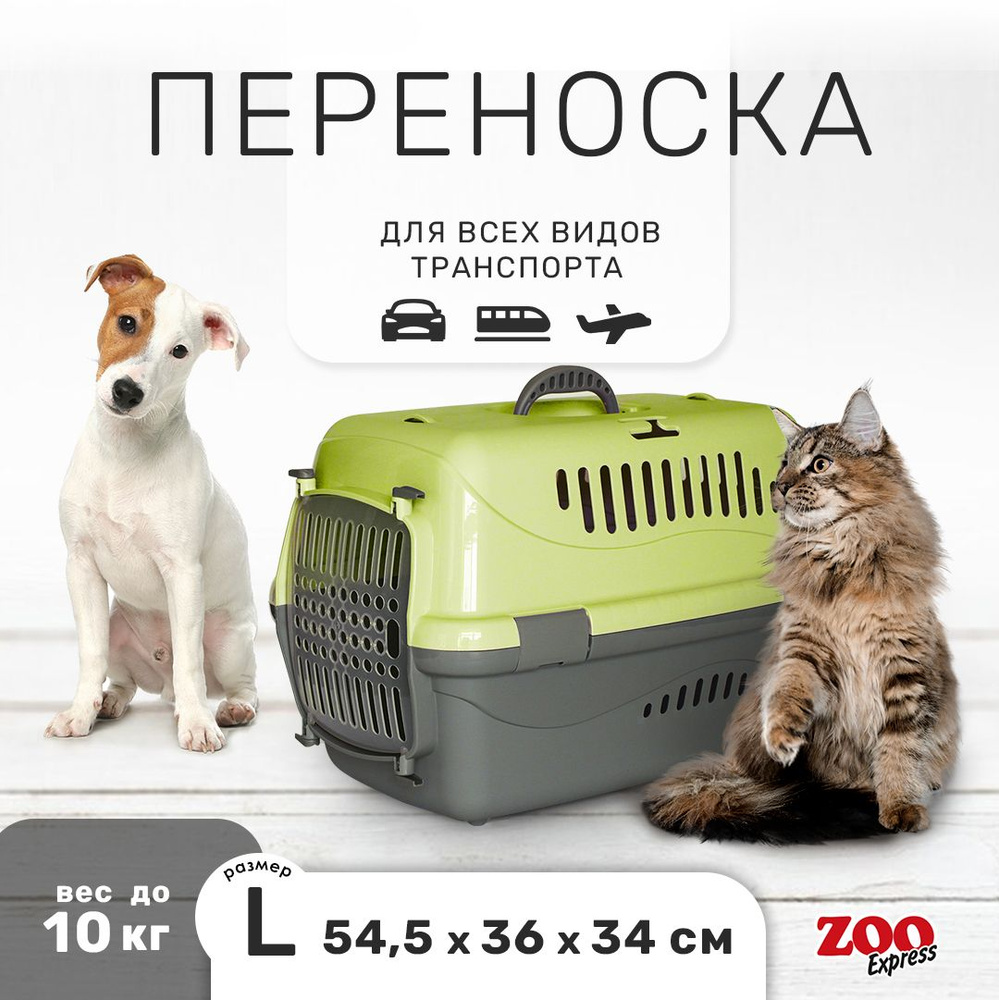 Клиппер-переноска для кошек и собак ZOOexpress Турне 54,5х36х34 см (L), с прозрачной дверцей, зелёная #1