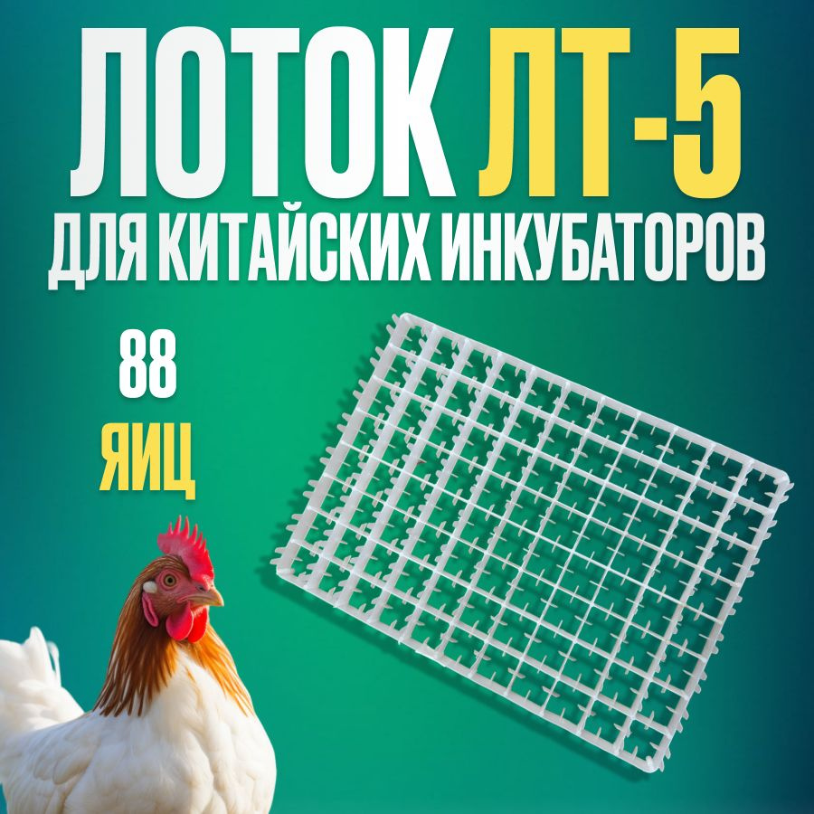 Лоток ЛТ5 куриный на 88 яиц (50х36см.) решетка для самодельных инкубаторов 1 шт  #1