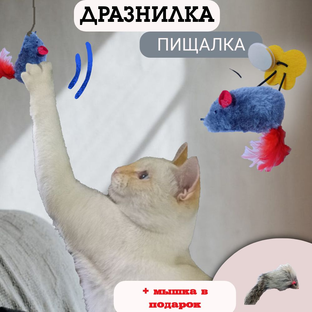 Дразнилка для кошек. #1