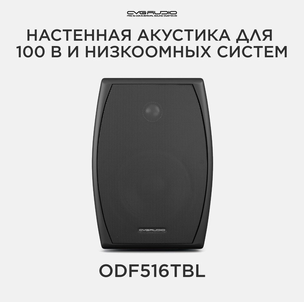 CVGAUDIO ODF516TBL Двухполосная настенная акустическая система  #1