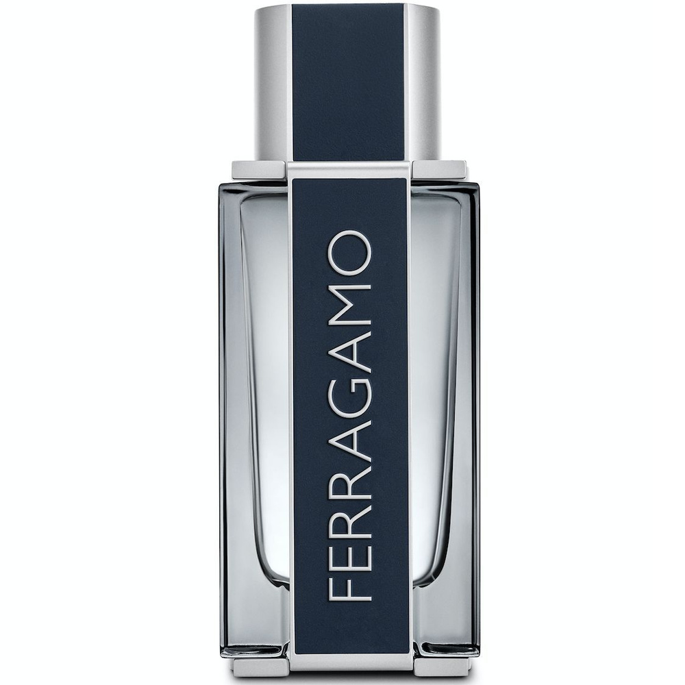 Туалетная вода мужская Salvatore Ferragamo купить на OZON по низкой ...
