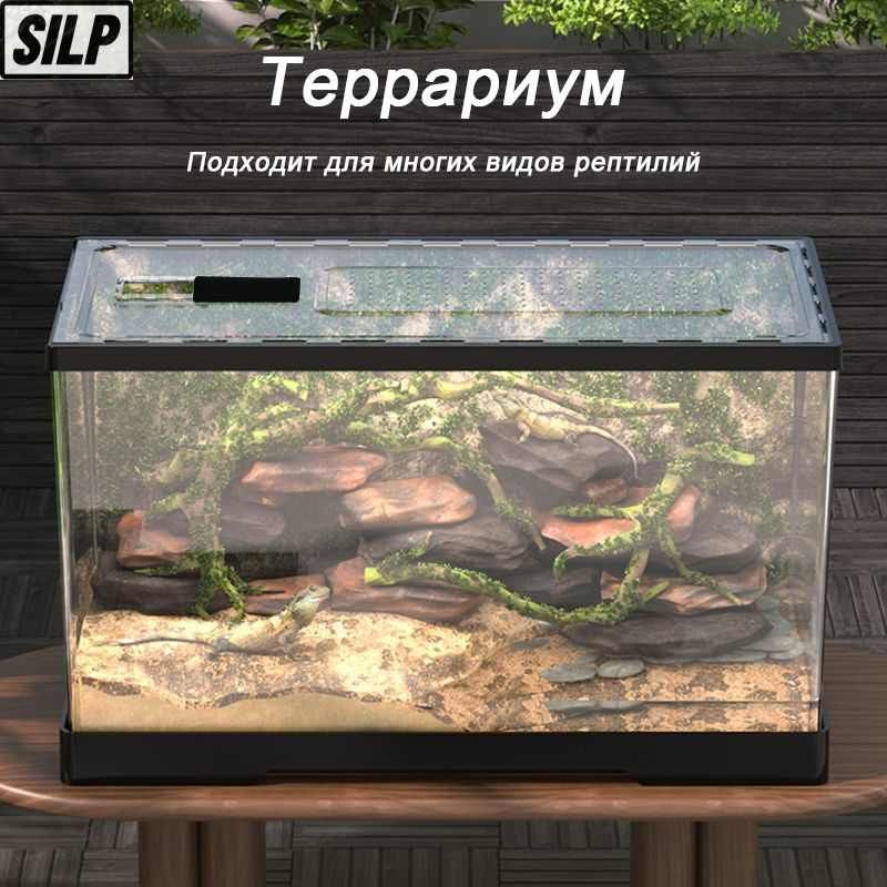 Террариум #1