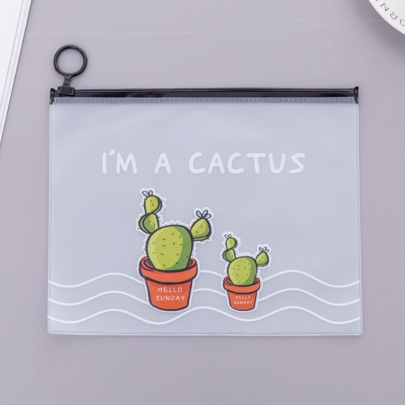 Прозрачный чехол для ручек Cactus #1