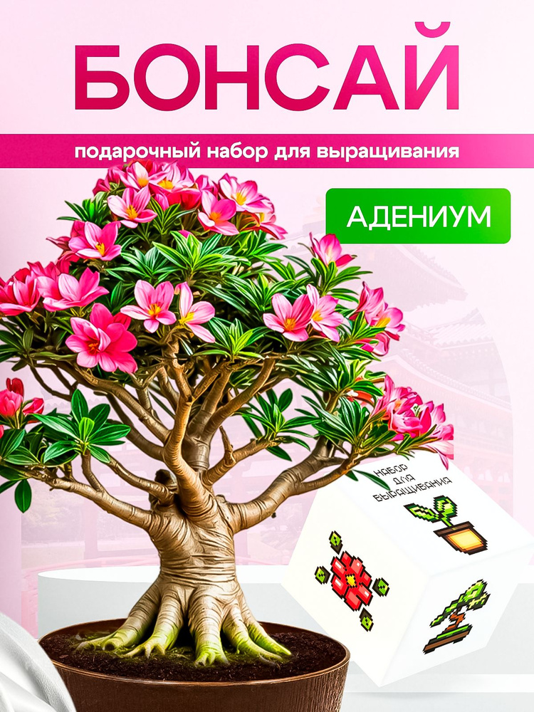 Набор для выращивания растений Адениум #1