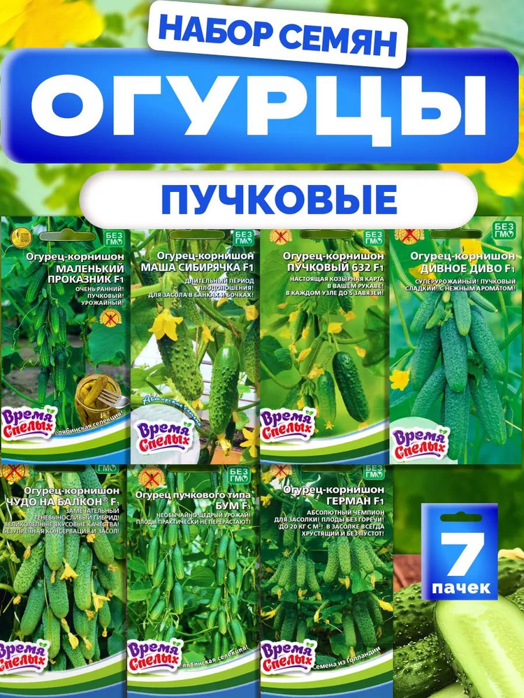 Семена огурцов самоопыляемые для теплиц, 7 #1