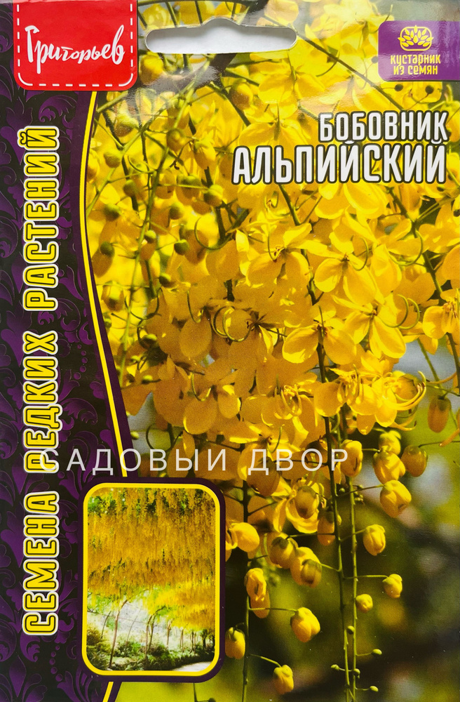 Бобовник Альпийский, 1 пакет, семена 0,2г, ЧК #1