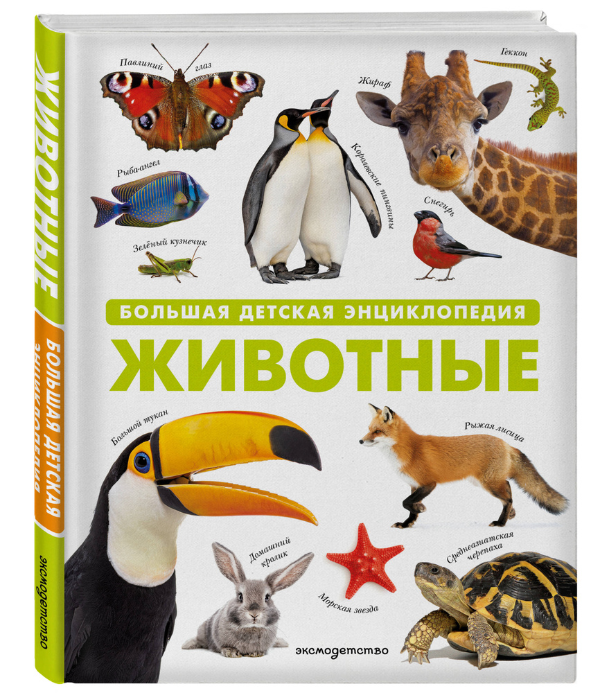 Животные. Большая детская энциклопедия #1