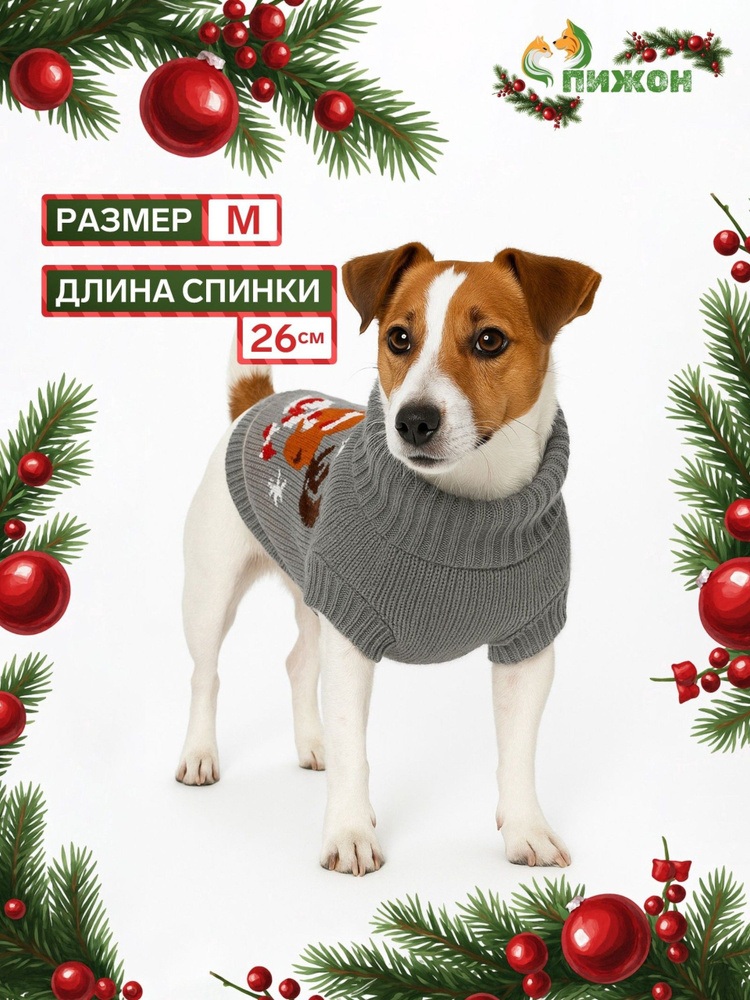 Одежда для животных #1
