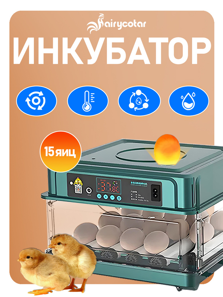 Инкубатор для яиц #1