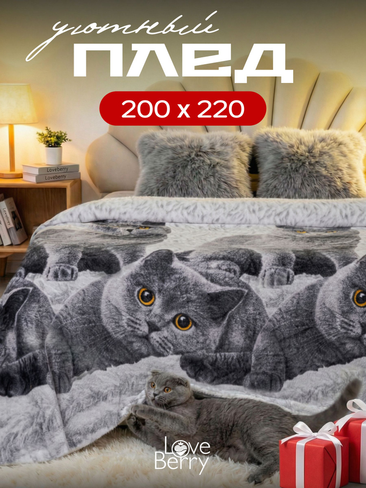 LoveBerry Плед , Велсофт, 200 см х 220 см #1