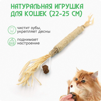 Дару дар: где в Киеве бесплатно обновить гардероб и найти домашнее животное - Киев эталон62.рф