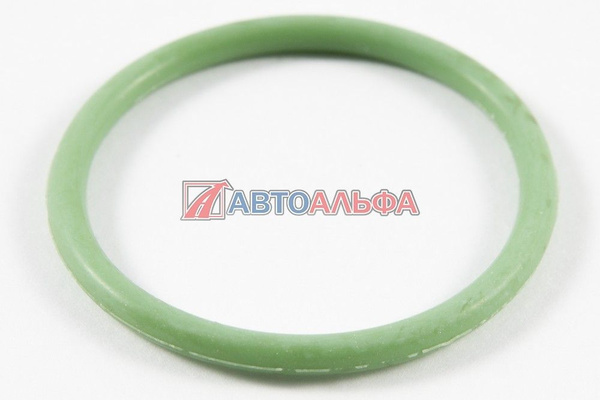 Кольцо уплотнительное водяного насоса КАМАЗ-54901 (КАМА ДИЗЕЛЬ)