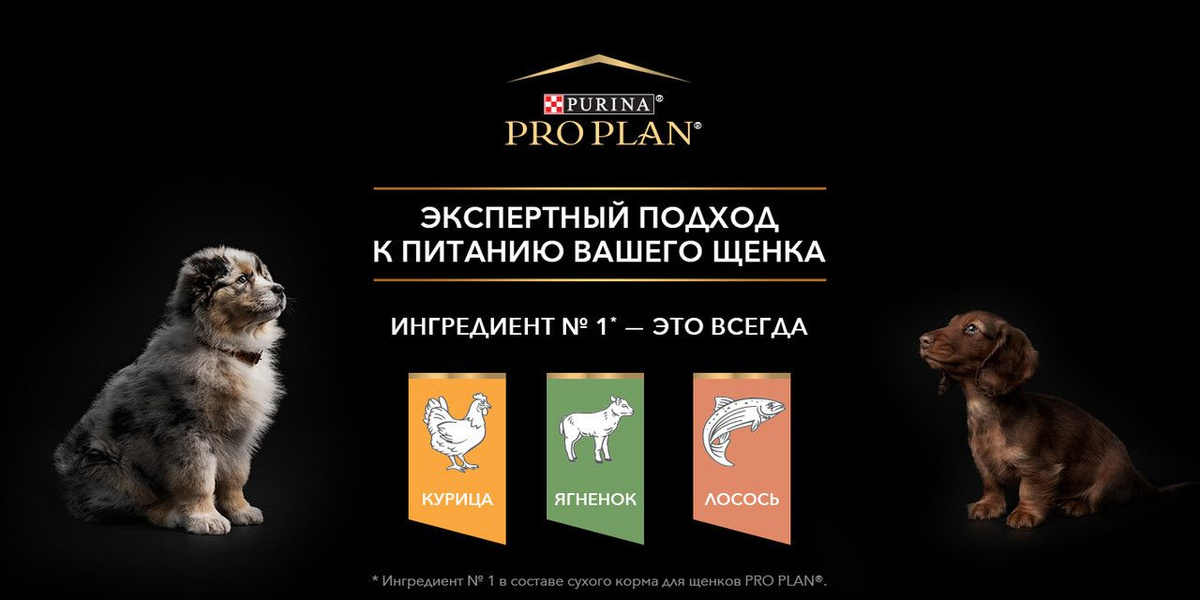 ProPlan Puppy Rich OZON 2024.03