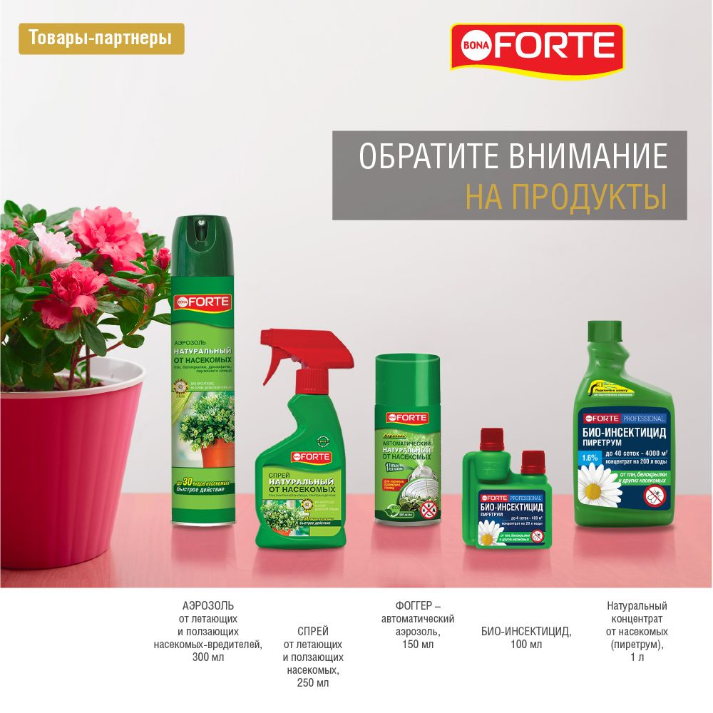 Спрей от насекомых вредителей на растениях цветах натуральный, от тли ...