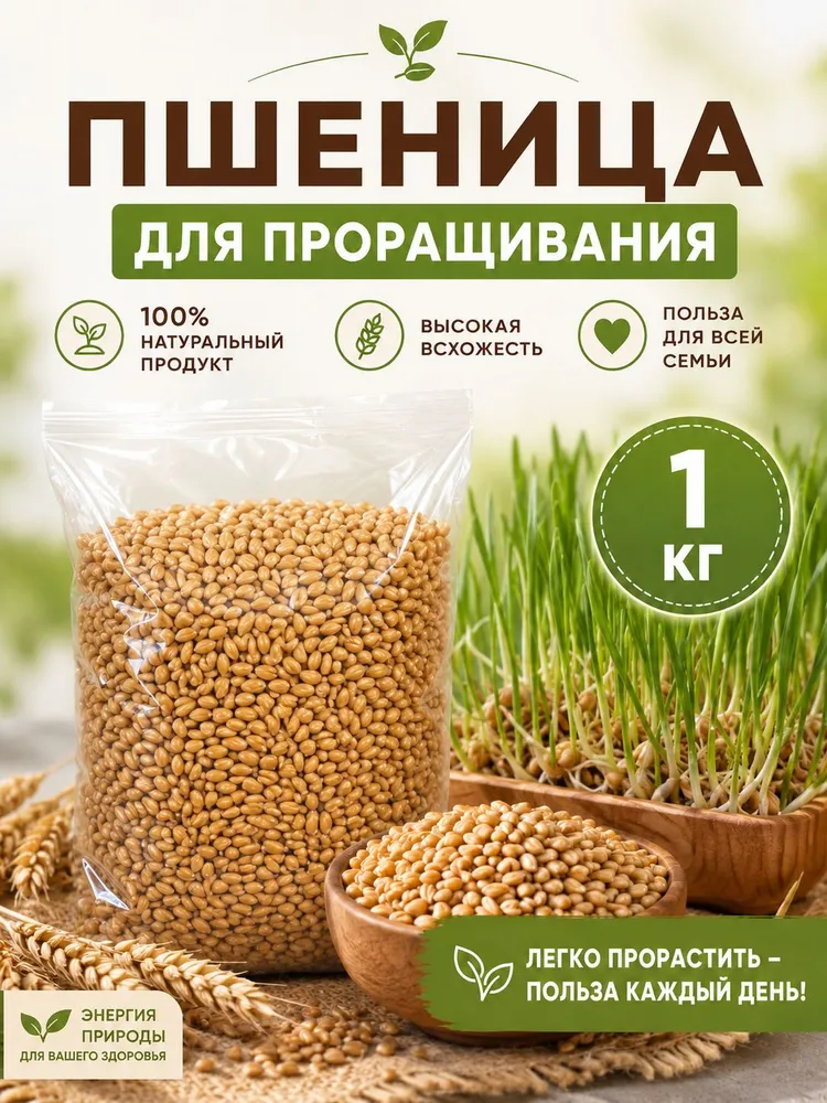Пшеница для проращивания 1 киллограм, вариант