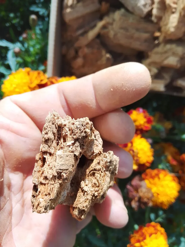 Труха Дубовая для кивсяков мокричек и улиток, вариант, фото 6