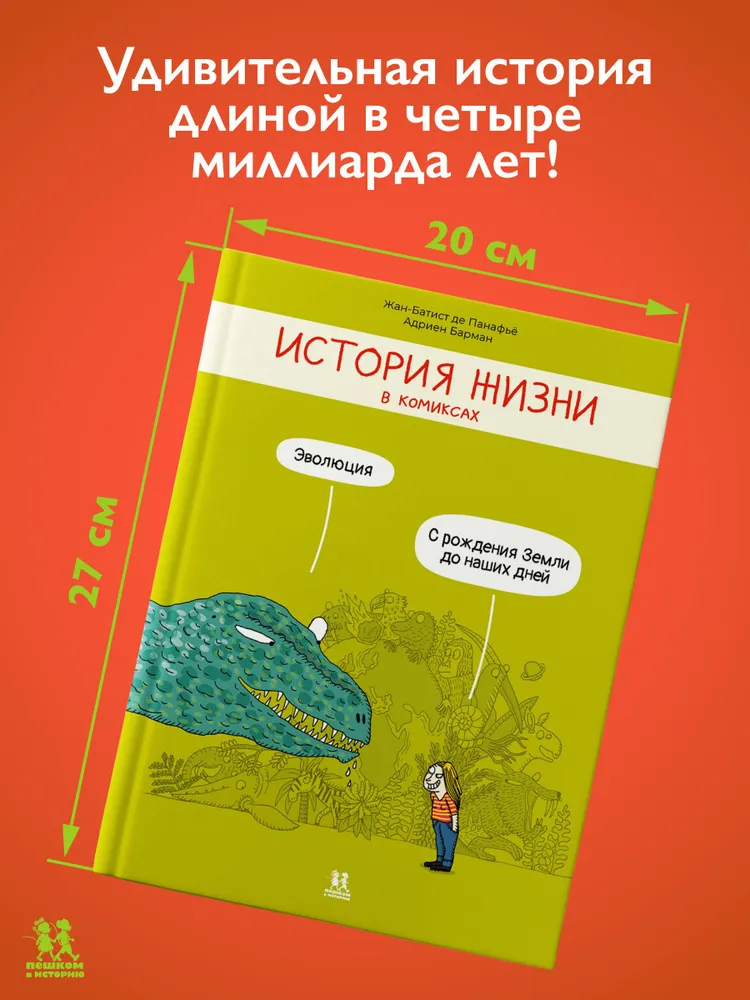 История жизни в комиксах, вариант, фото 2