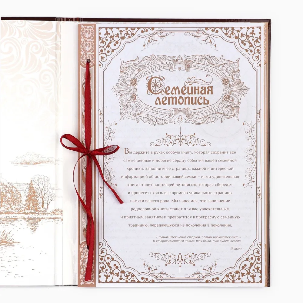 Родословная книга, семейное древо "Наша Семья", 100 страниц, вариант, фото 4