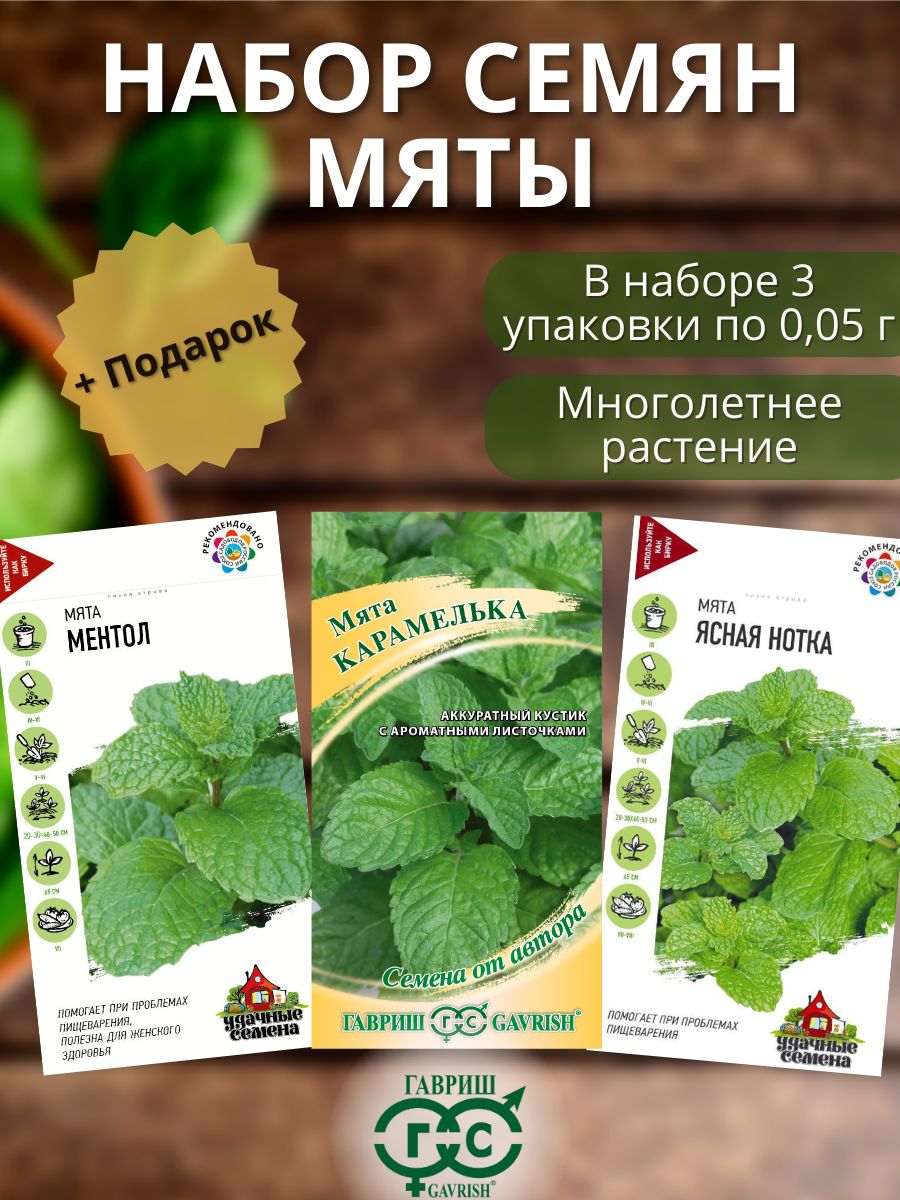 СеменамятымноголетнейперечнойМентолЯснаянотка