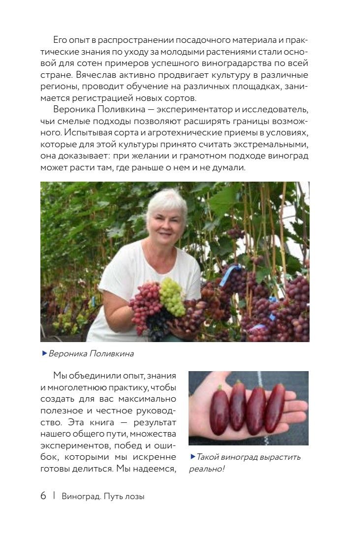 Виноград. Путь лозы. Шпаргалка-трекер: от черенка до грозди | Grapevines. The Path of the Vine. A Handbook-Tracker - Ozon image 5