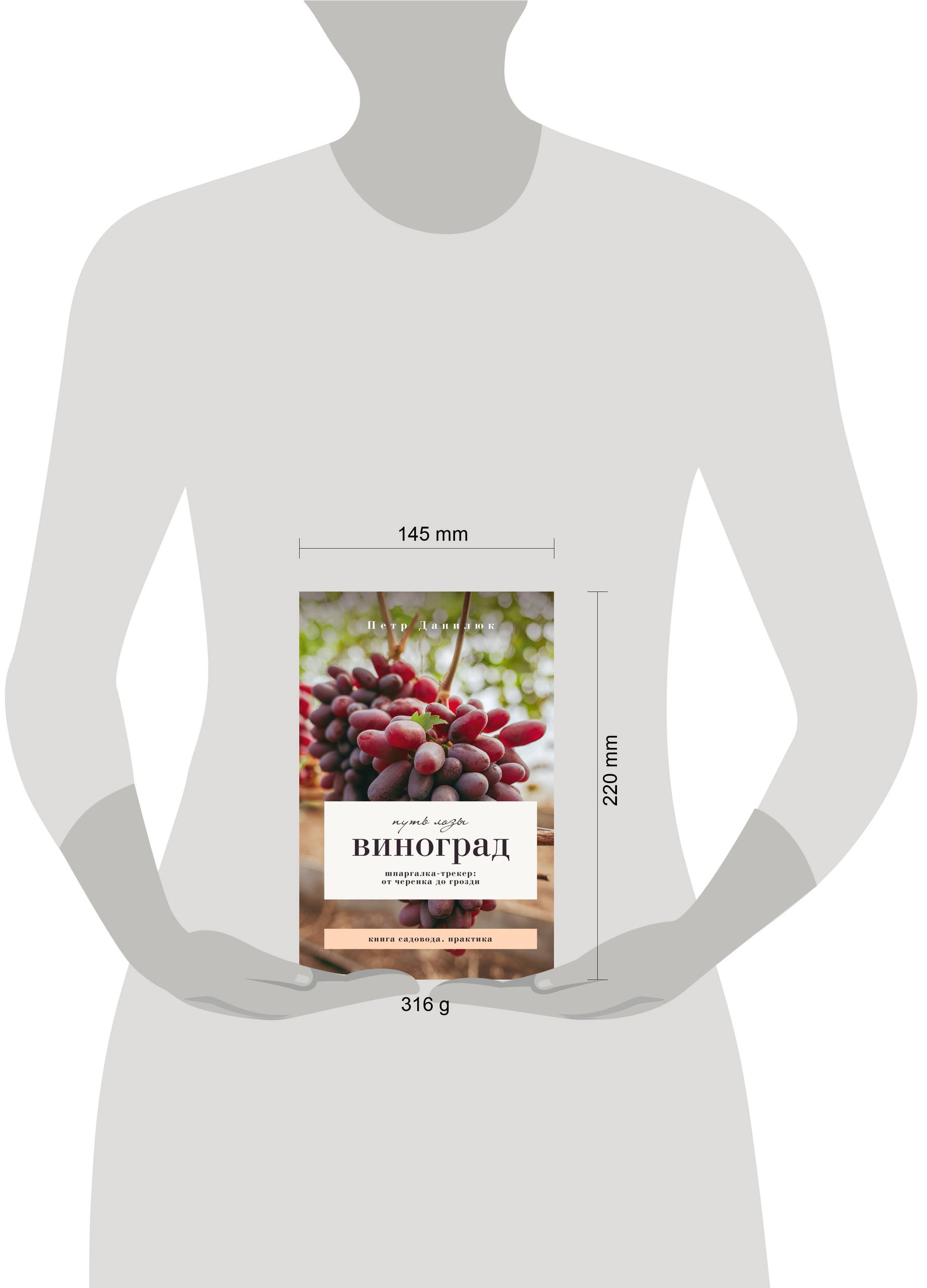 Виноград. Путь лозы. Шпаргалка-трекер: от черенка до грозди | Grapevines. The Path of the Vine. A Handbook-Tracker - Ozon image 1