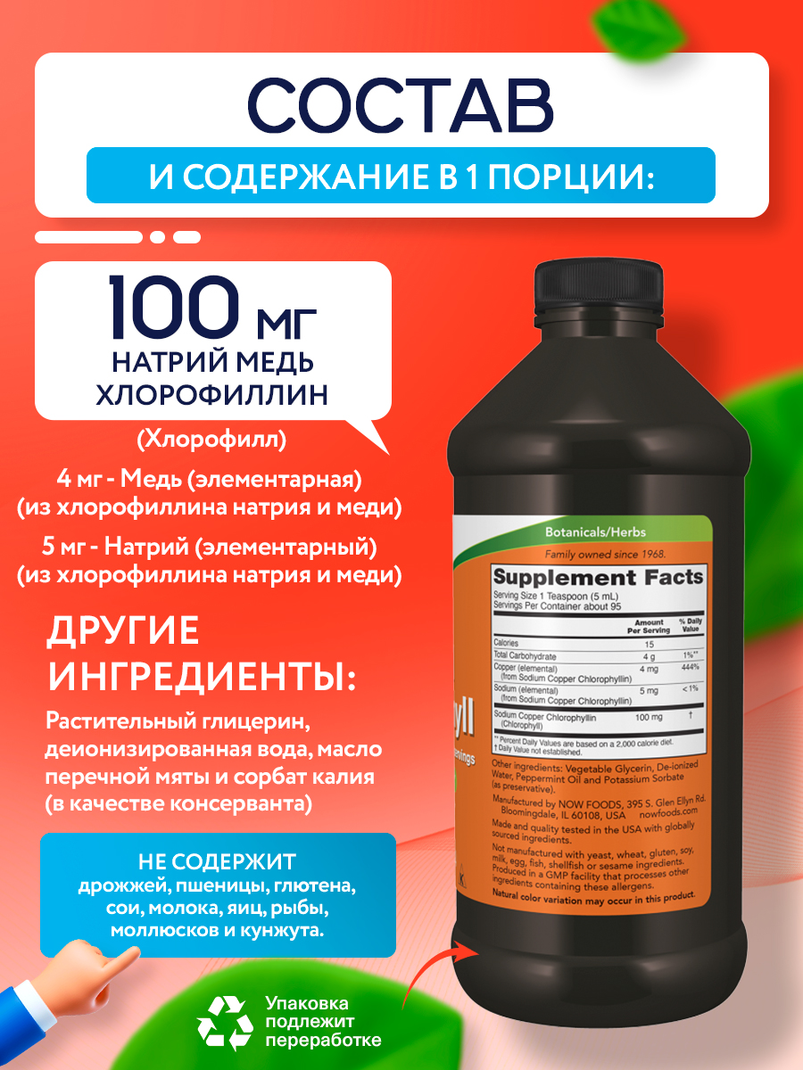 Now, LIQ CHLOROPHYLL & MINT 16 OZ