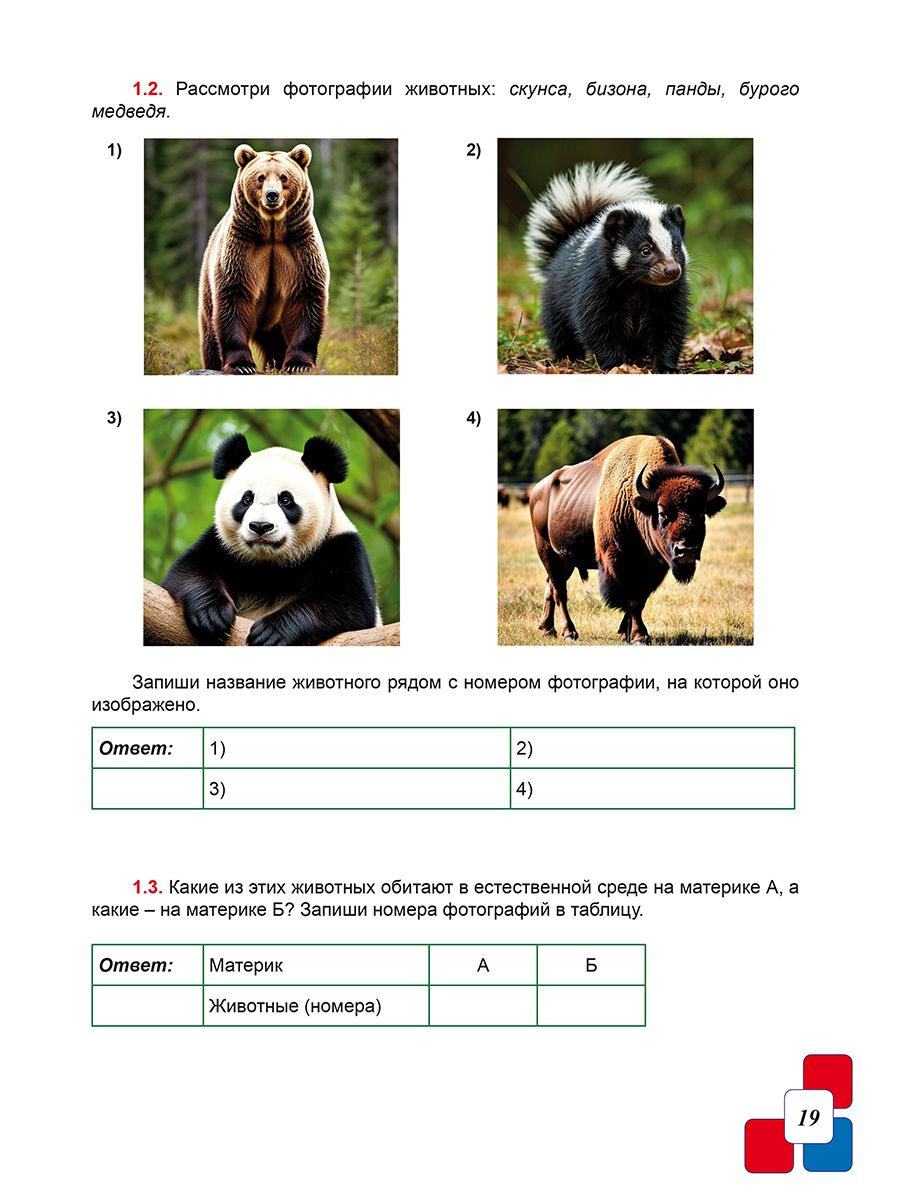 ВПР 4 класс Окружающий мир 150 типовых заданий ФГОС НОВЫЙ | 4th Grade VRP. Environmental Studies. 150 Typical Tasks. New FGS - Ozon image 4