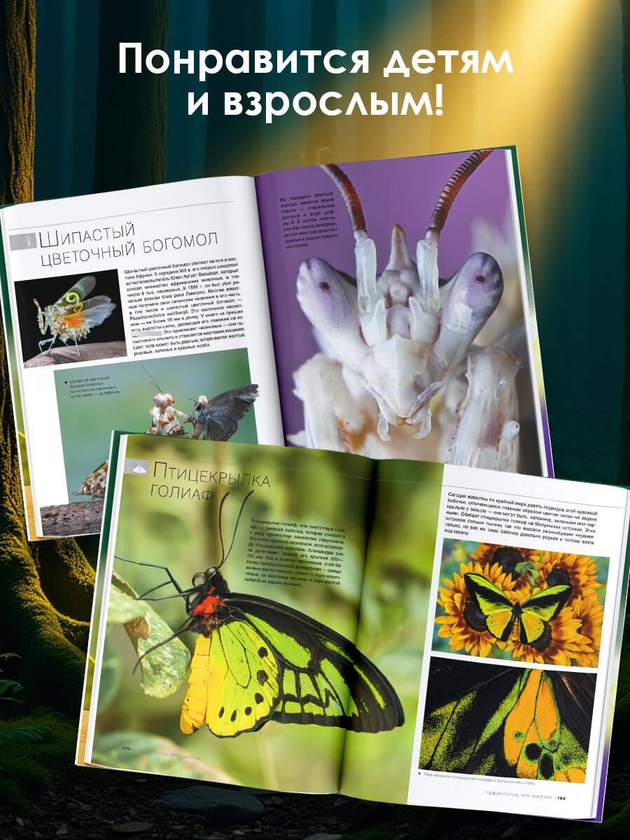 Большая книга о насекомых. 1001 фотография | The Big Book of Insects: 1001 Photographs - Ozon image 2