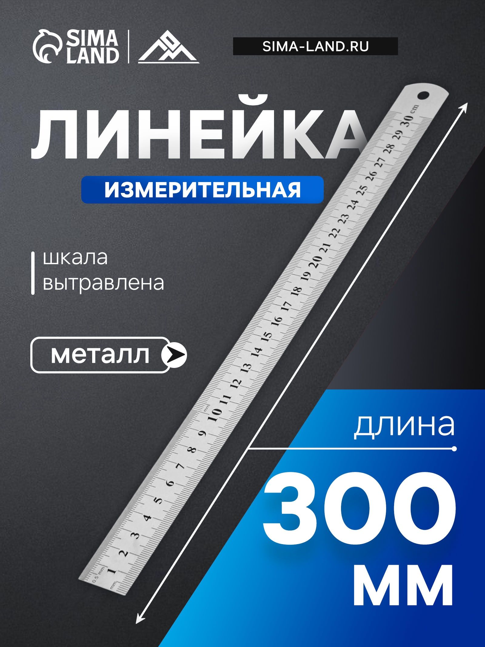 Линейка измерительная Тундра, металлическая, шкала вытравлена, 300 мм