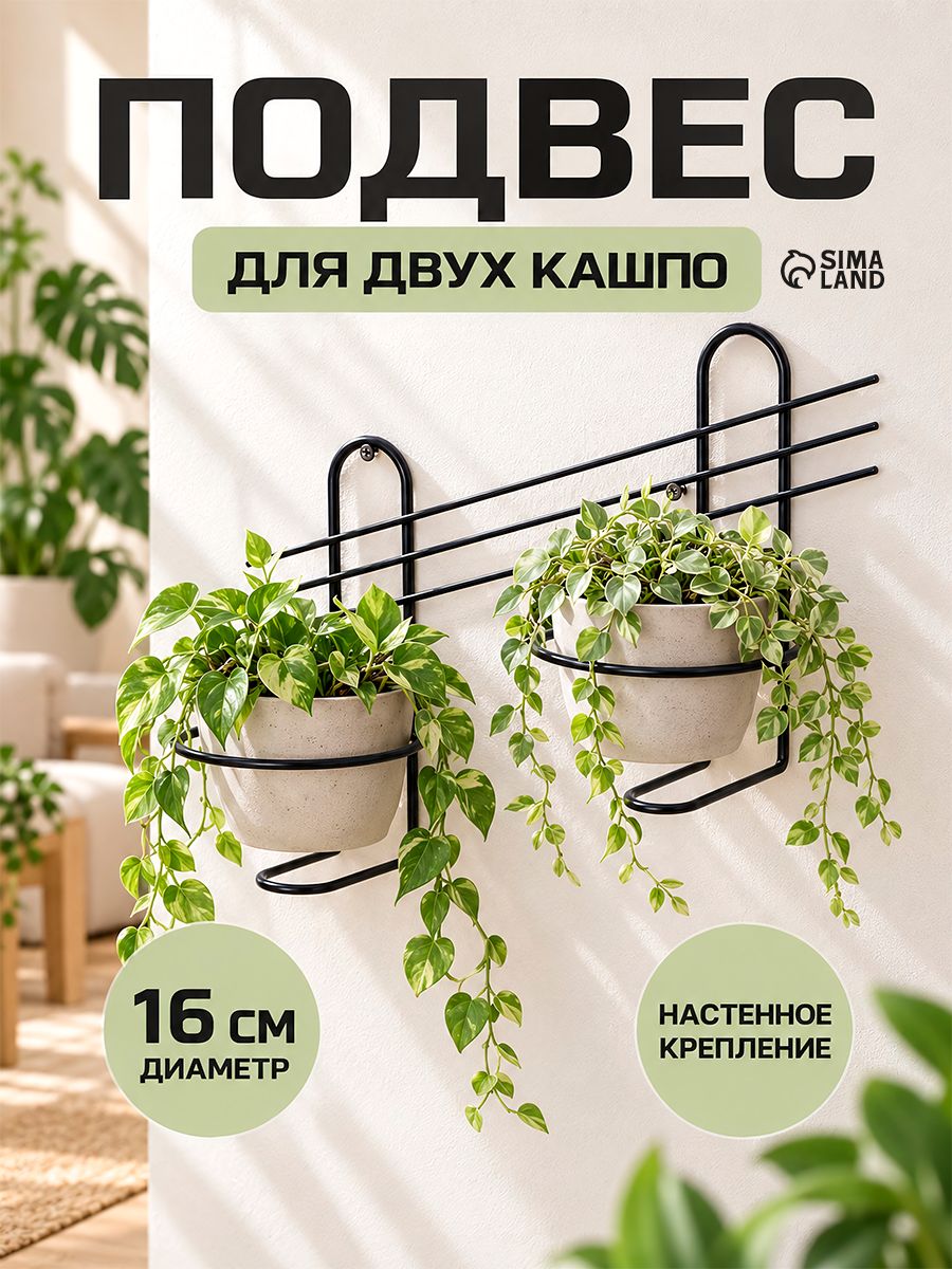Подвес для кашпо, настенный, d - 16 см, чёрный, "Косая-2"