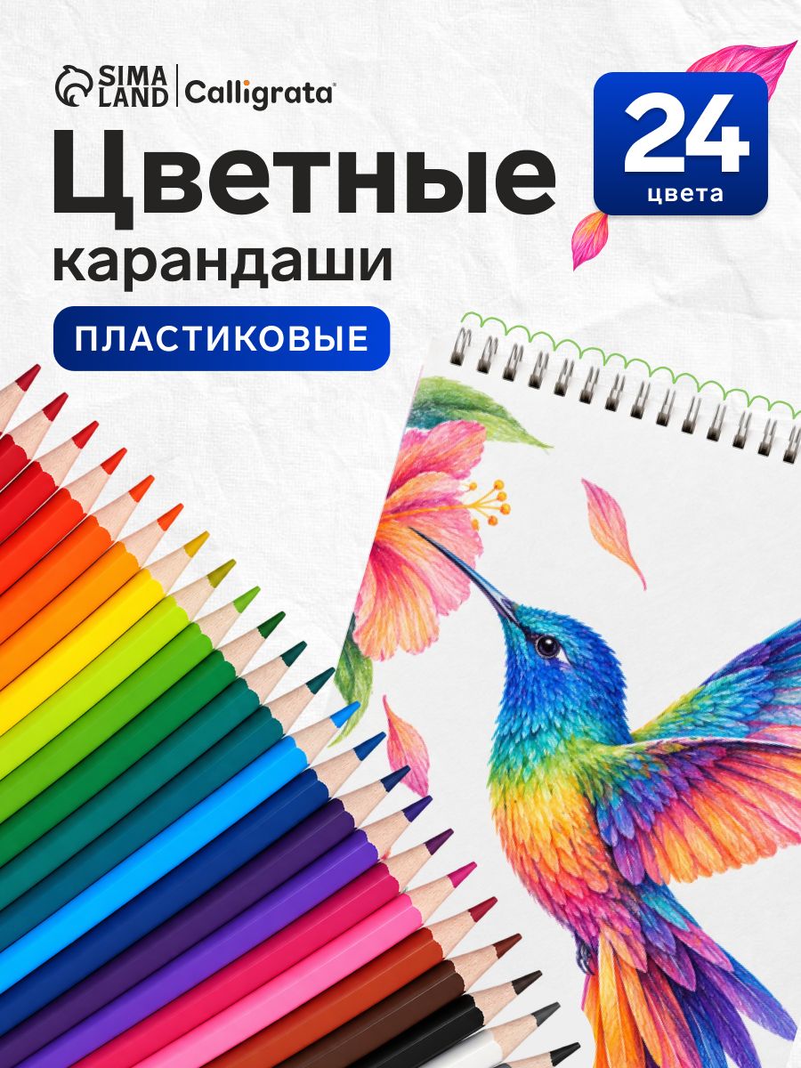 Карандаши цветные для рисования 24 цвета, пластиковые, шестигранные