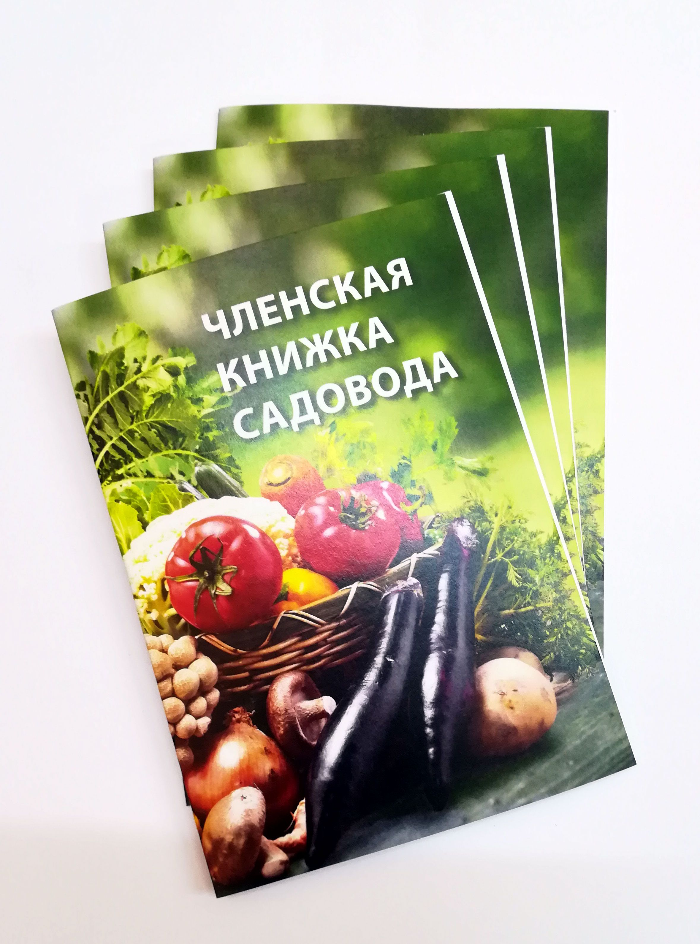 Почему садовая книжка не заменяет право собственности