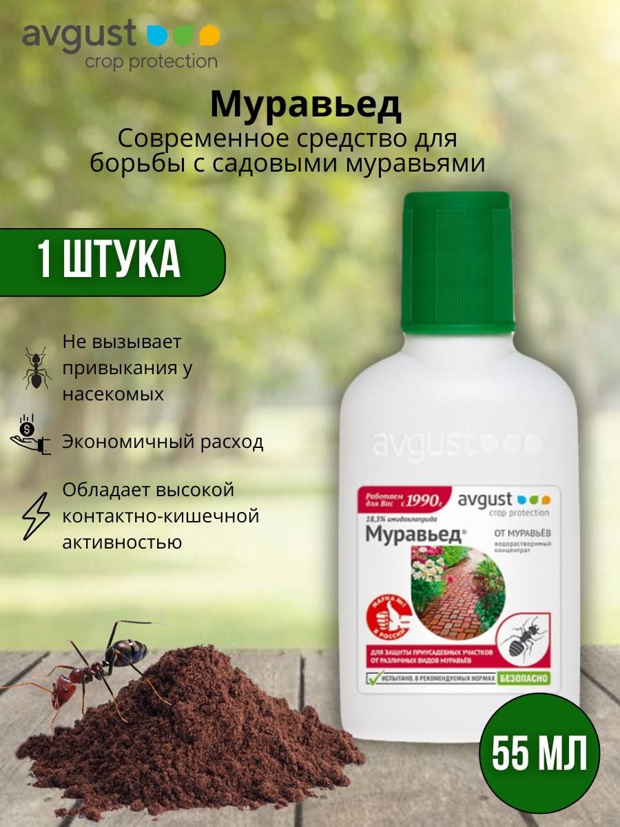 Эффективный и безопасный способ борьбы с муравьями в саду, рекомендованный Россельхознадзором